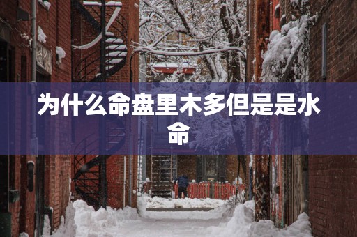 为什么命盘里木多但是是水命