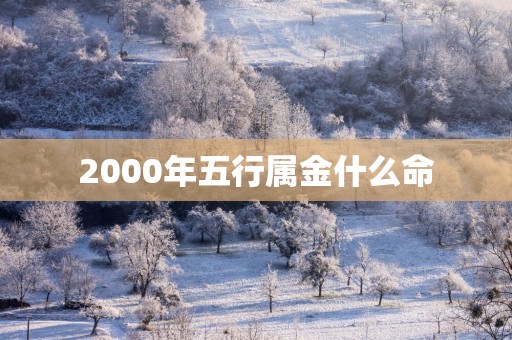 2000年五行属金什么命