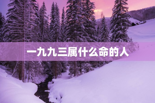 一九九三属什么命的人