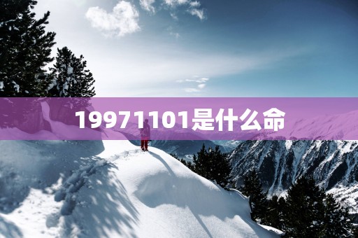 19971101是什么命