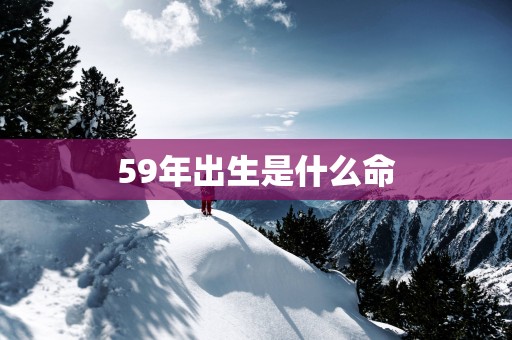 59年出生是什么命