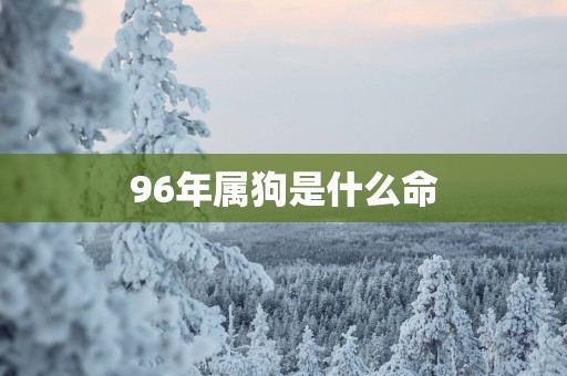 96年属狗是什么命