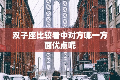 双子座比较看中对方哪一方面优点呢
