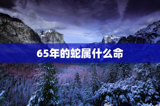 65年的蛇属什么命