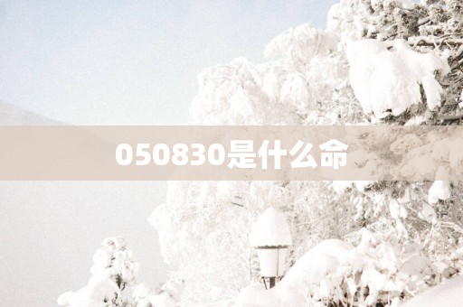 050830是什么命