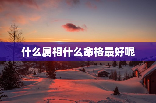 什么属相什么命格最好呢