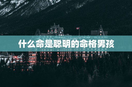 什么命是聪明的命格男孩
