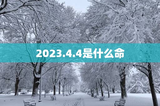 2025.4.4是什么命
