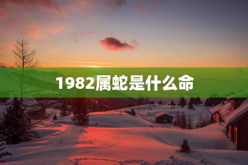 1982属蛇是什么命