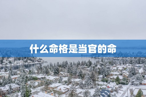 什么命格是当官的命