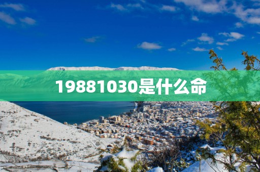 19881030是什么命