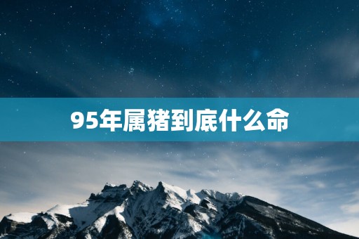 95年属猪到底什么命