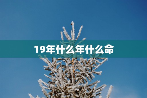 19年什么年什么命