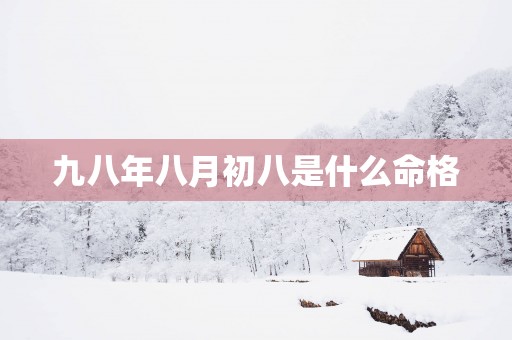 九八年八月初八是什么命格