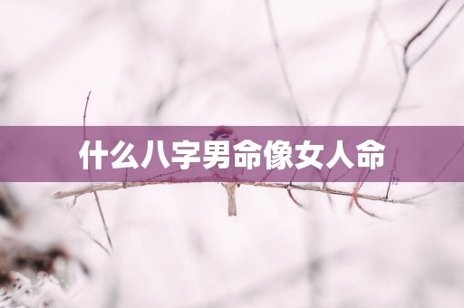 什么八字男命像女人命