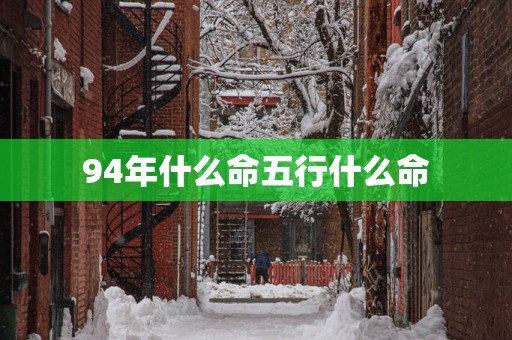 94年什么命五行什么命