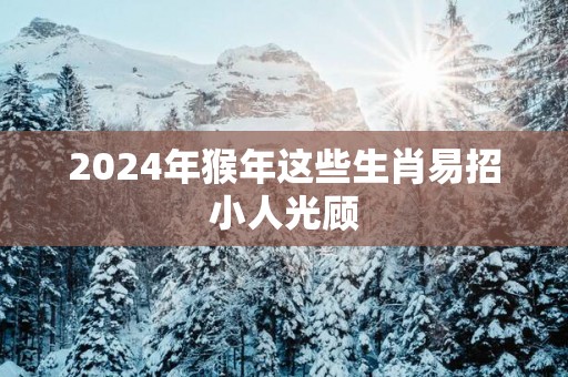 2025年猴年这些生肖易招小人光顾
