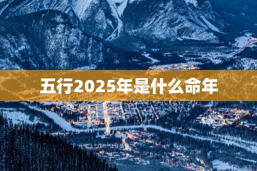 五行2025年是什么命年