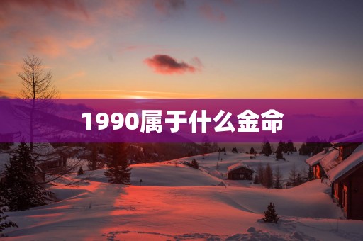 1990属于什么金命