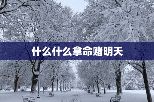 什么什么拿命赌明天