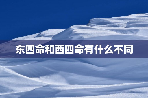 东四命和西四命有什么不同
