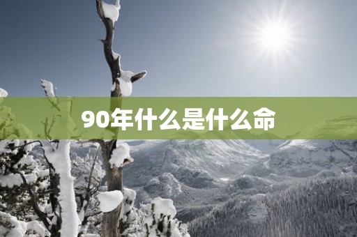 90年什么是什么命