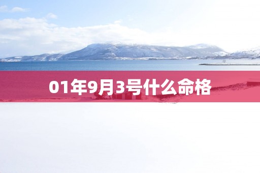 01年9月3号什么命格