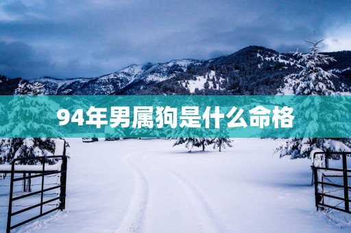 94年男属狗是什么命格