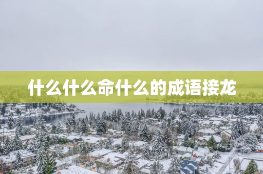 什么什么命什么的成语接龙