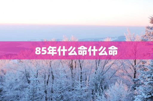 85年什么命什么命