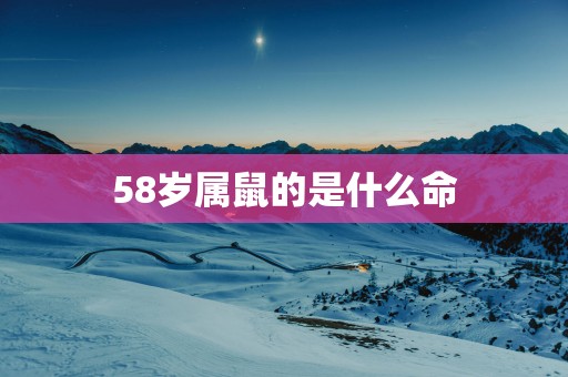58岁属鼠的是什么命