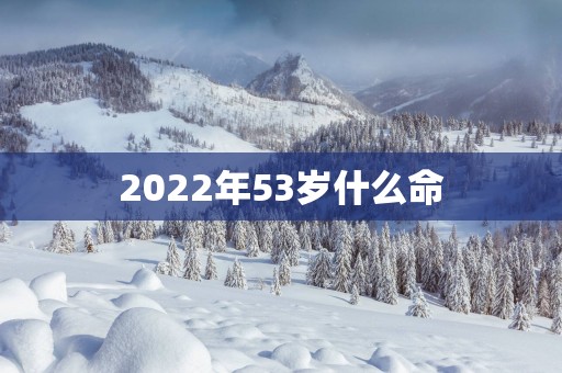 2025年53岁什么命