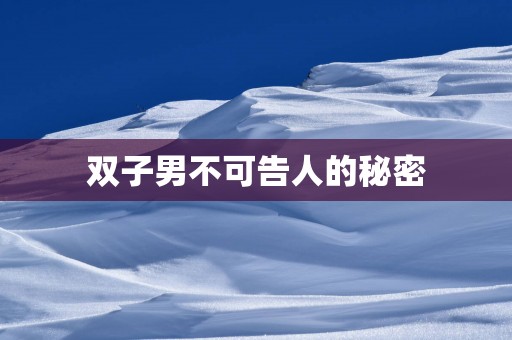 双子男不可告人的秘密