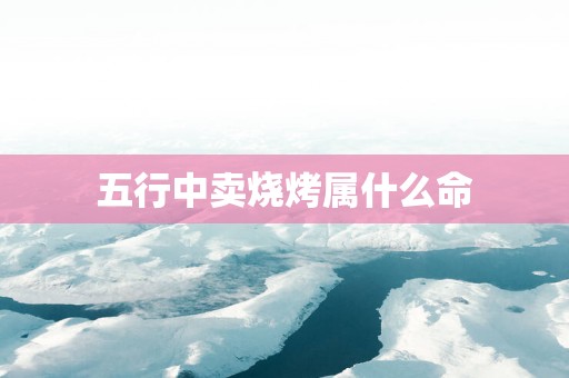 五行中卖烧烤属什么命