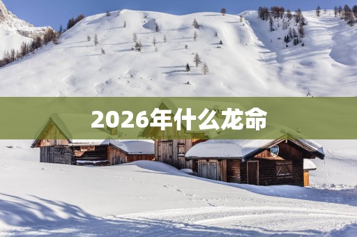 2026年什么龙命