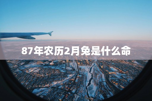 87年农历2月兔是什么命