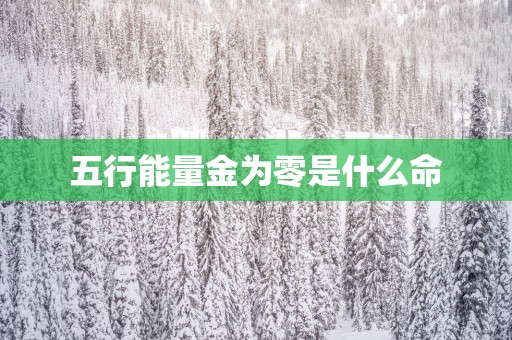 五行能量金为零是什么命