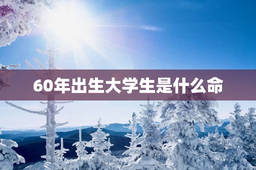 60年出生大学生是什么命