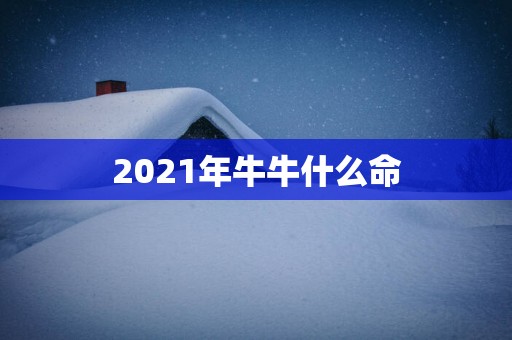 2025年牛牛什么命