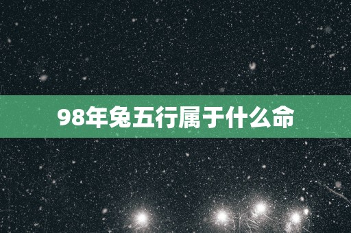 98年兔五行属于什么命