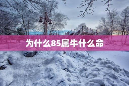 为什么85属牛什么命