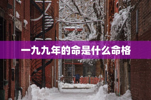 一九九年的命是什么命格