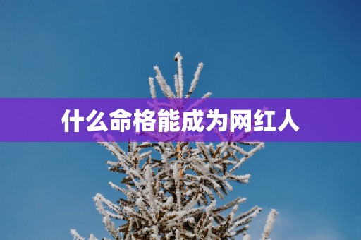 什么命格能成为网红人