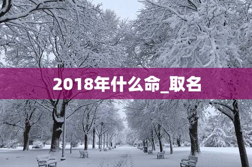 2018年什么命_取名