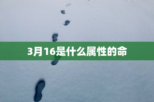 3月16是什么属性的命