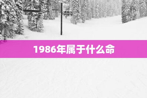 1986年属于什么命