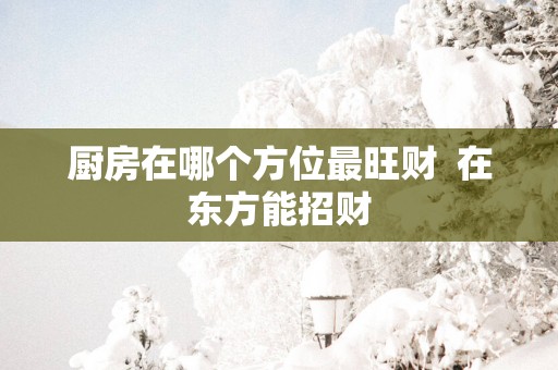 厨房在哪个方位最旺财  在东方能招财