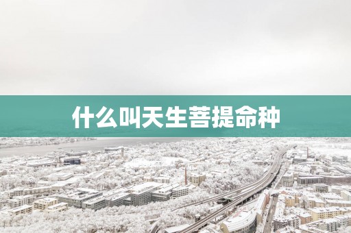 什么叫天生菩提命种
