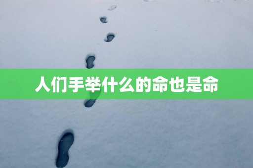人们手举什么的命也是命
