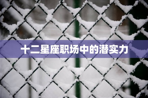 十二星座职场中的潜实力